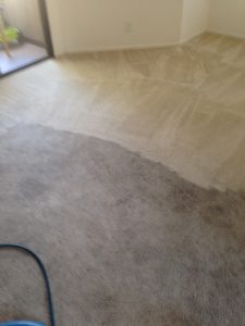 lake forest carpet cleaning