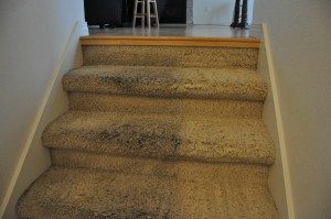 carpet cleaning mission viejo