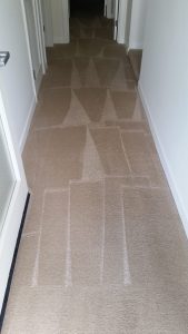 local mission viejo carpet cleaning